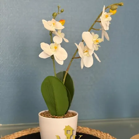 Cosy&élégant Quartier De La Rochelle