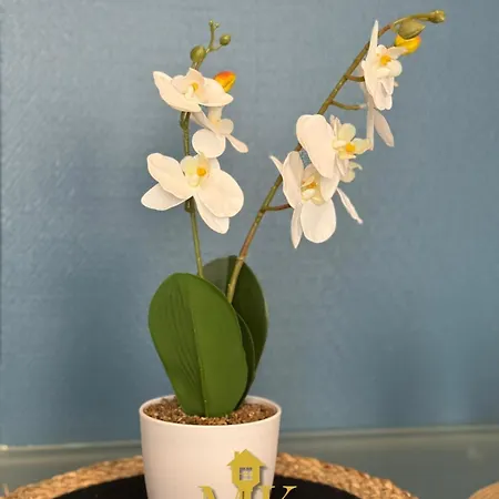 Cosy&élégant Quartier De La Rochelle Bar-le-Duc