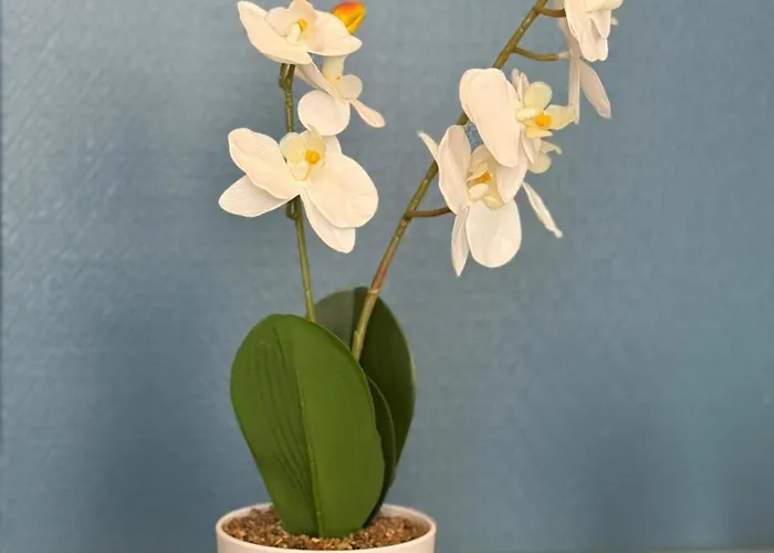 Chic De La Rochelle, Proche Commerces Bar-le-Duc