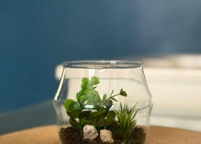 Chic De La Rochelle, Proche Commerces * Бар-ле-Дюк