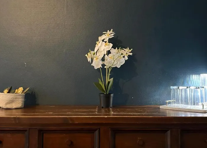 Appartement Chic De La Rochelle, Proche Commerces